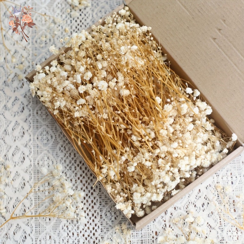 Craft Embellishments - 100pcs Mini Dried Baby's Breath Flowers