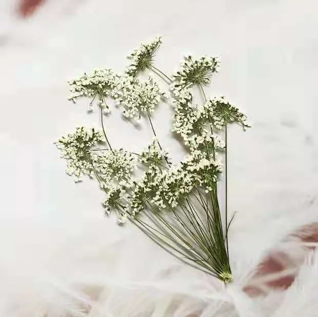 5-7cm/12pcs,Snow Tiny Flowers  - огляд і ціна Craft Embellishments