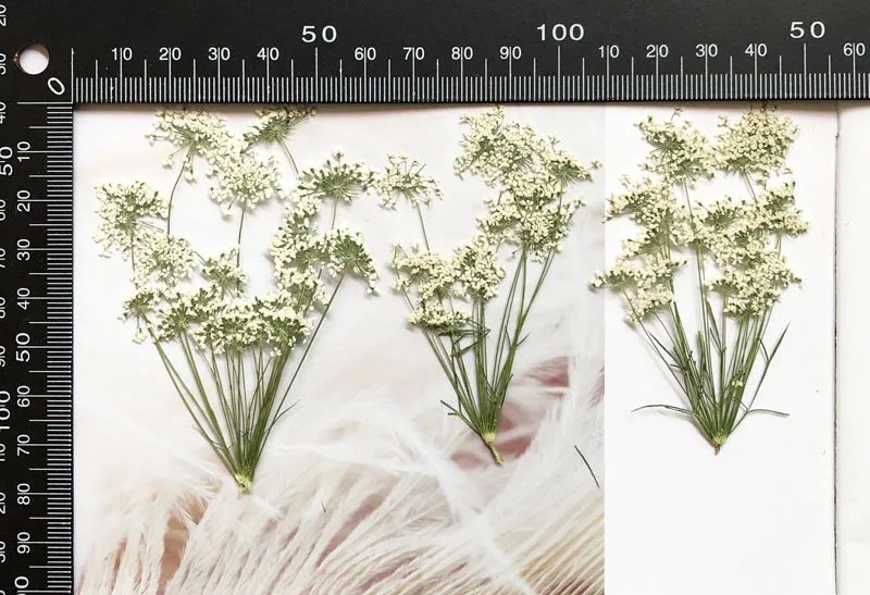 5-7cm/12pcs,Snow Tiny Flowers  - огляд і ціна Craft Embellishments