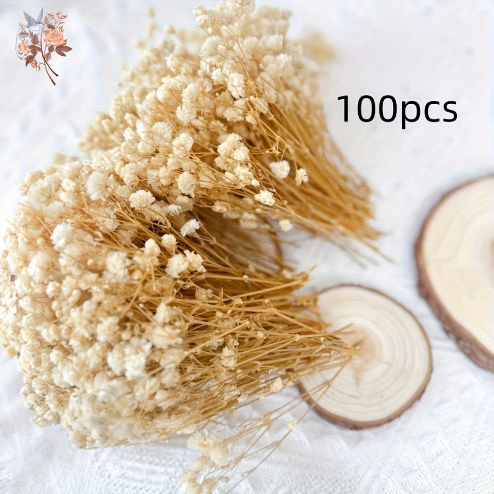 100pcs Mini Dried Baby's Breat - огляд і ціна Craft Embellishments
