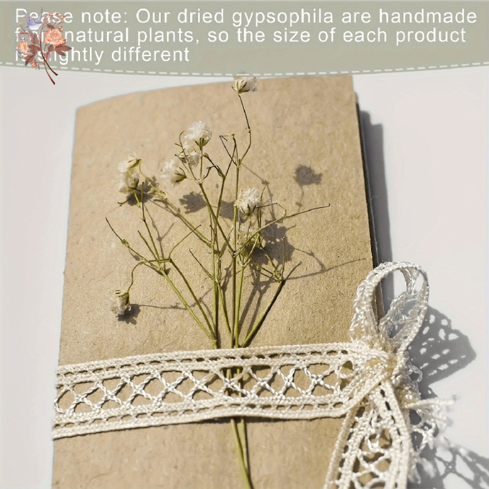 100pcs Mini Dried Baby's Breat - огляд і ціна Craft Embellishments